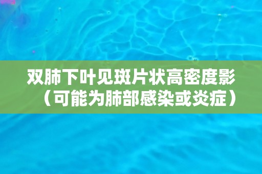 双肺下叶见斑片状高密度影（可能为肺部感染或炎症）