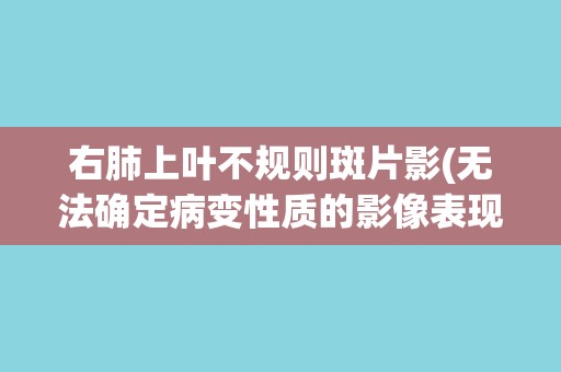 右肺上叶不规则斑片影(无法确定病变性质的影像表现特征分析)