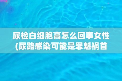 尿检白细胞高怎么回事女性(尿路感染可能是罪魁祸首)