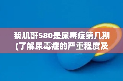 我肌酐580是尿毒症第几期(了解尿毒症的严重程度及治疗方案) 我肌酐580是尿毒症第几期(了解尿毒症的严重程度及治疗方案)