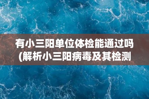 有小三阳单位体检能通过吗(解析小三阳病毒及其检测方法)