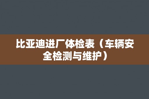 比亚迪进厂体检表（车辆安全检测与维护）