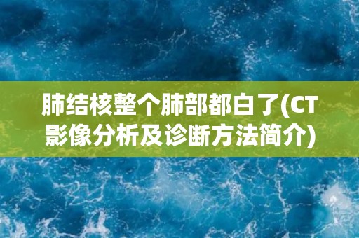 肺结核整个肺部都白了(CT影像分析及诊断方法简介)