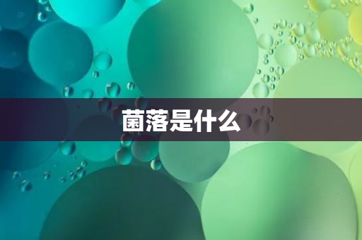 菌落是什么