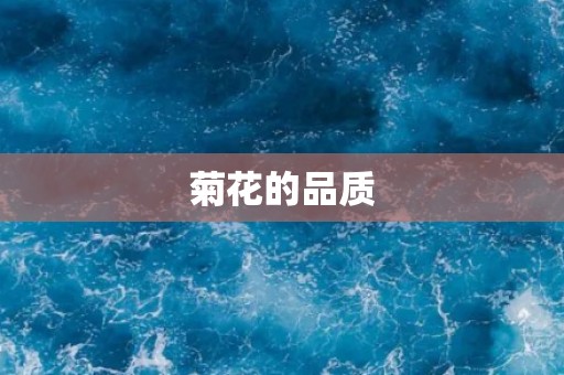 菊花的品质 菊花的品质