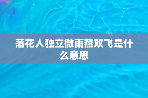 落花人独立微雨燕双飞是什么意思