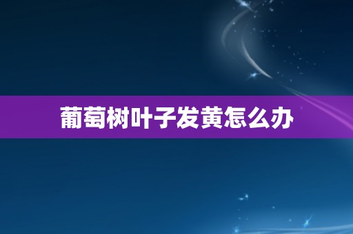 葡萄树叶子发黄怎么办
