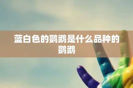 蓝白色的鹦鹉是什么品种的鹦鹉 蓝白色的鹦鹉是什么品种的鹦鹉