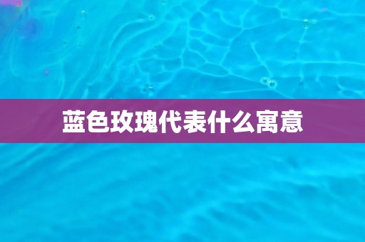 蓝色玫瑰代表什么寓意