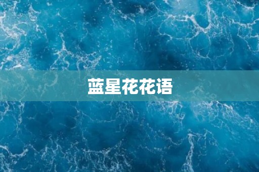 蓝星花花语