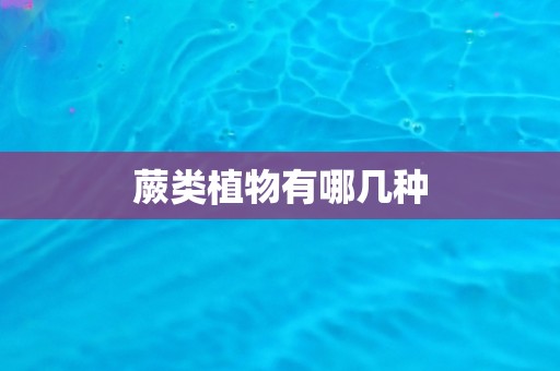 蕨类植物有哪几种 蕨类植物有哪几种