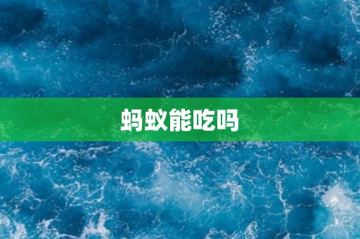 蚂蚁能吃吗