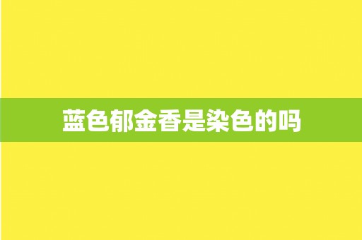 蓝色郁金香是染色的吗