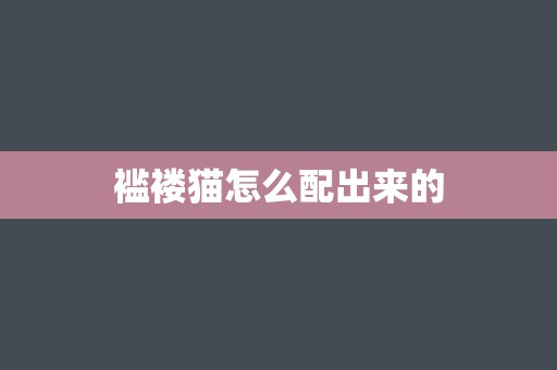 褴褛猫怎么配出来的