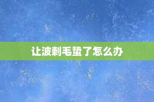 让波刺毛蛰了怎么办