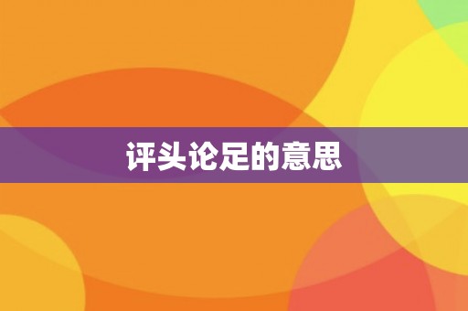 评头论足的意思
