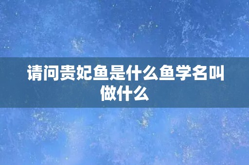 请问贵妃鱼是什么鱼学名叫做什么