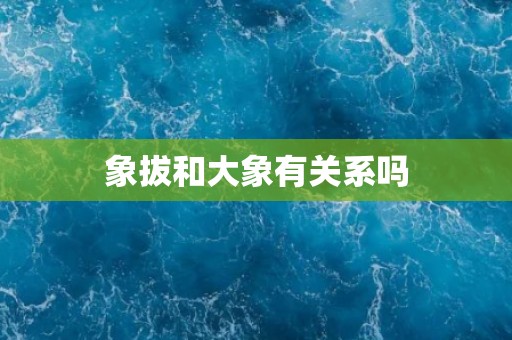 象拔和大象有关系吗