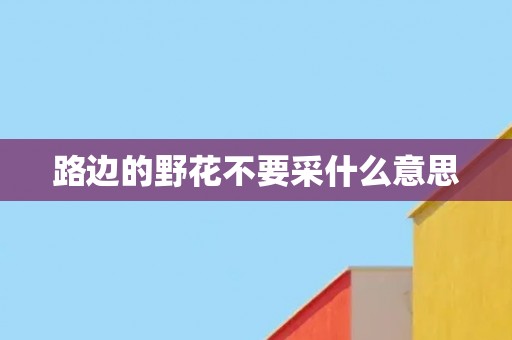 路边的野花不要采什么意思