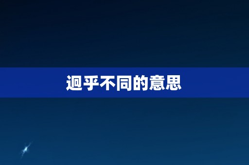 迥乎不同的意思