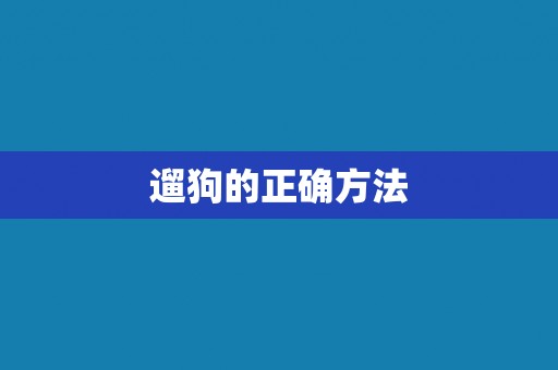 遛狗的正确方法