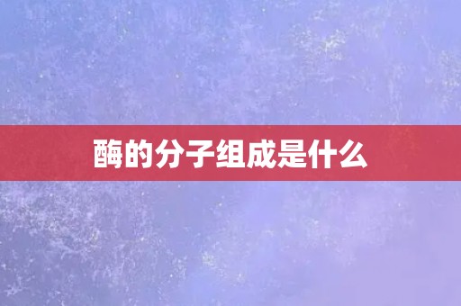 酶的分子组成是什么 酶的分子组成是什么