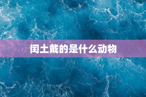 闰土戴的是什么动物