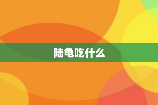 陆龟吃什么