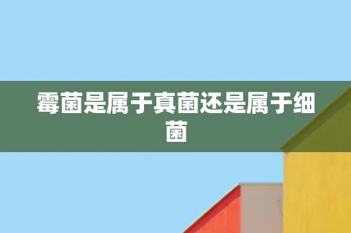 霉菌是属于真菌还是属于细菌