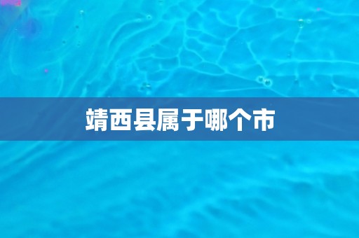 靖西县属于哪个市