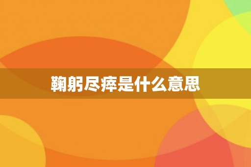 鞠躬尽瘁是什么意思