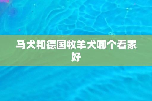 马犬和德国牧羊犬哪个看家好