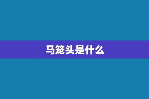 马笼头是什么