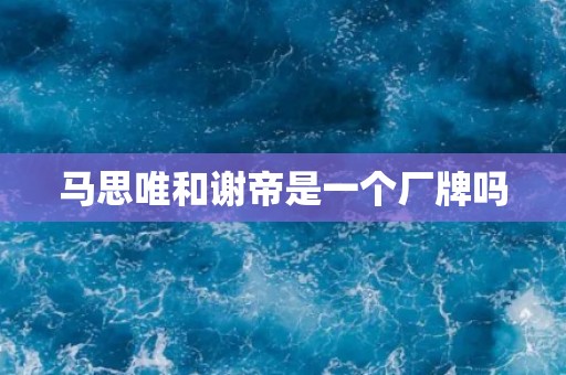 马思唯和谢帝是一个厂牌吗 马思唯和谢帝是一个厂牌吗