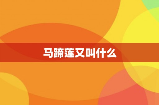 马蹄莲又叫什么 马蹄莲又叫什么