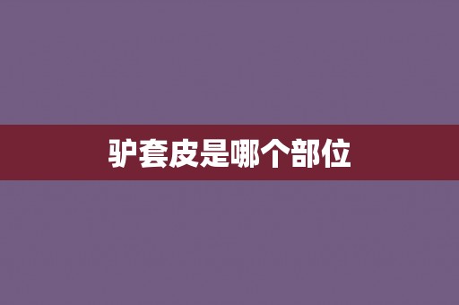 驴套皮是哪个部位 驴套皮是哪个部位