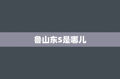 鲁山东S是哪儿
