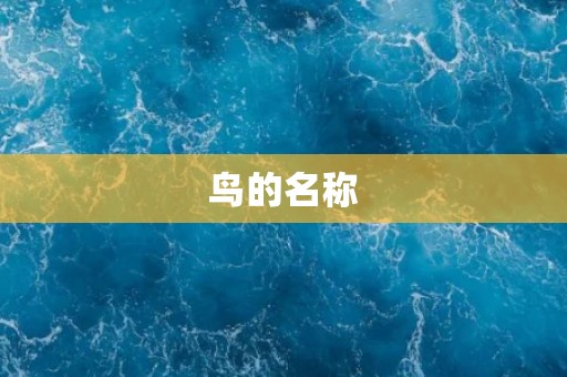 鸟的名称