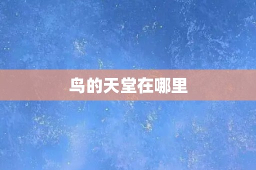 鸟的天堂在哪里