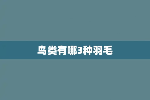 鸟类有哪3种羽毛