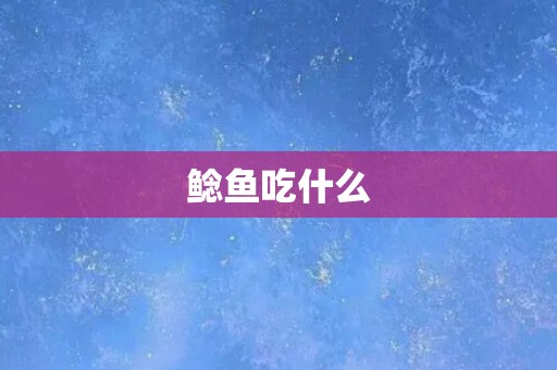 鲶鱼吃什么