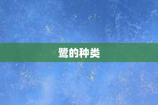 鹭的种类