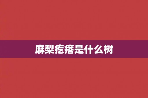 麻梨疙瘩是什么树