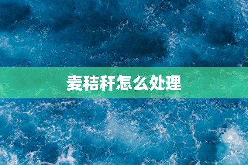 麦秸秆怎么处理