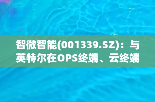 智微智能(001339.SZ)：与英特尔在OPS终端、云终端、MiniPC、边缘服务器、边缘网关等多款产品上有业务合作