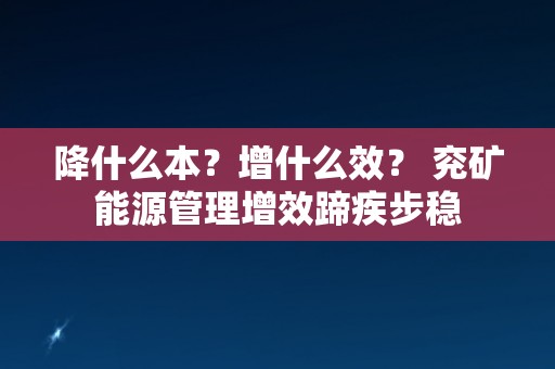 降什么本？增什么效？ 兖矿能源管理增效蹄疾步稳