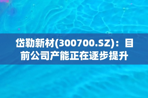 岱勒新材(300700.SZ)：目前公司产能正在逐步提升