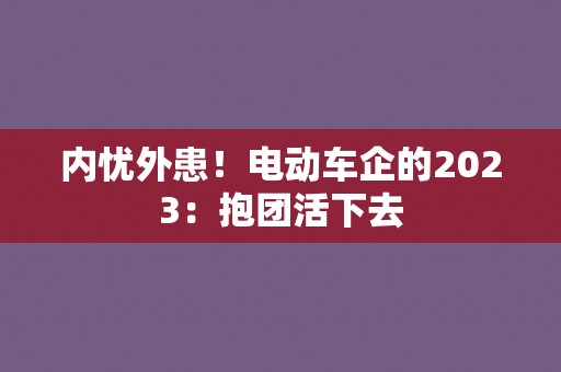 内忧外患！电动车企的2023：抱团活下去