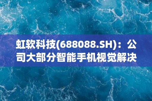 虹软科技(688088.SH)：公司大部分智能手机视觉解决方案达到国内外先进水平