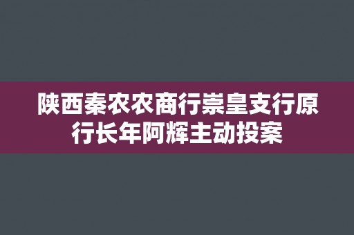 陕西秦农农商行崇皇支行原行长年阿辉主动投案 陕西秦农农商行崇皇支行原行长年阿辉主动投案